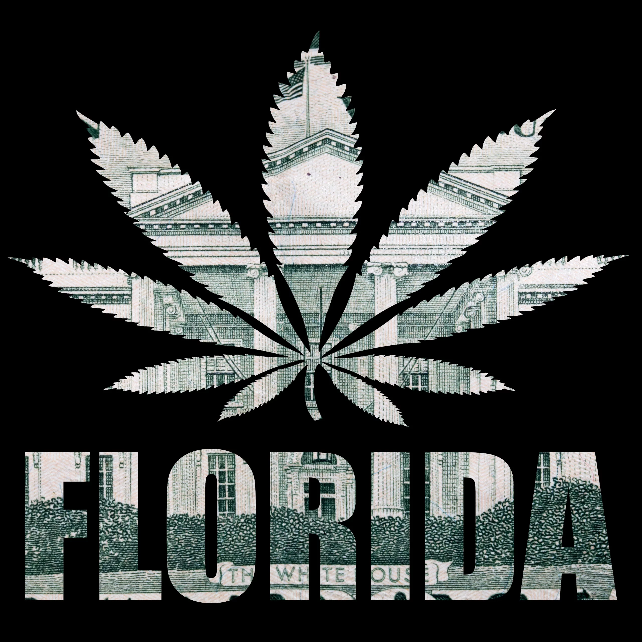 FL Marijuana Legalization