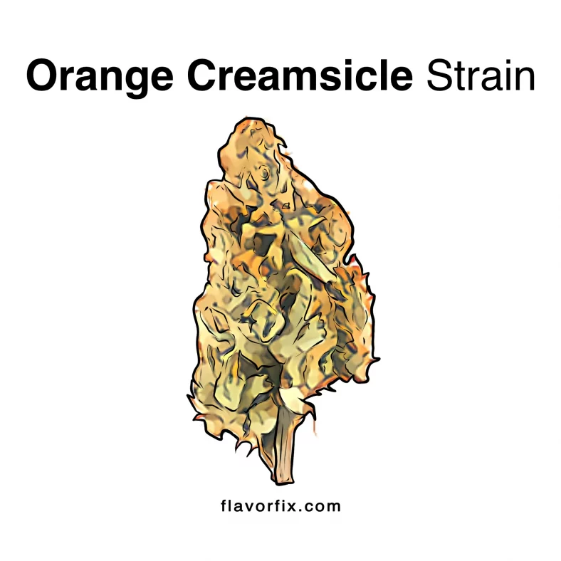 Orange Creamsicle Strain