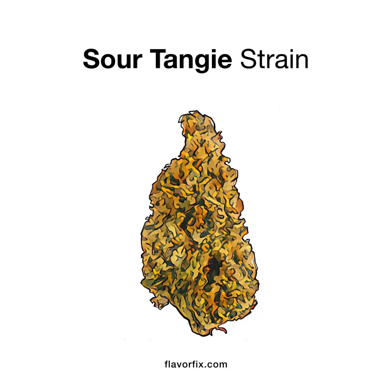 Sour Tangie Strain