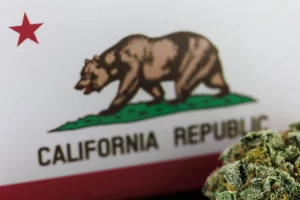 California Pass a Bill to Help Legal Marijuana Growers Flourish