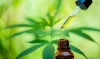 cbd dosagechart calculators humans scaled