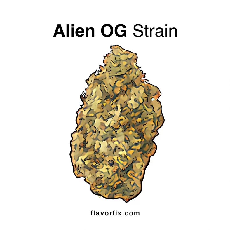Alien OG Strain