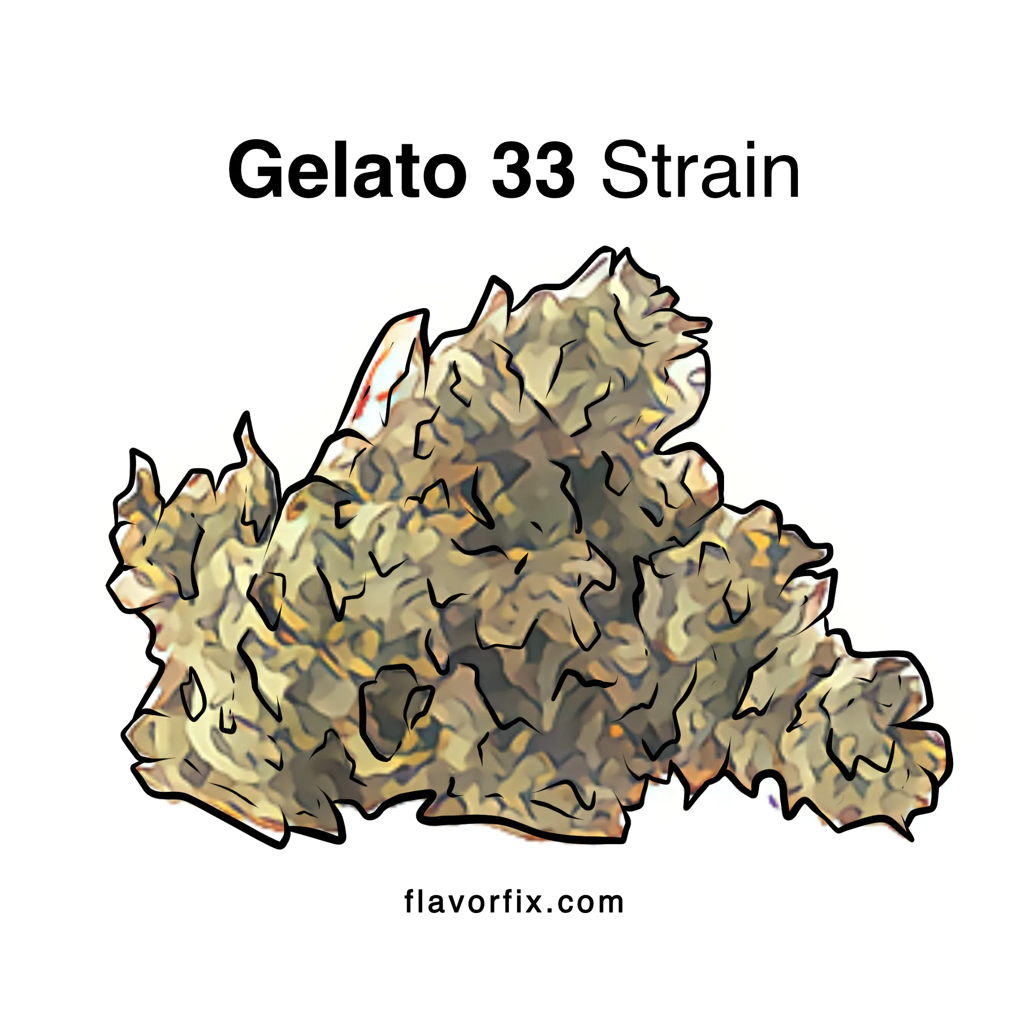 Gelato 33 Strain Larry Bird Strain Info Flavor Fix