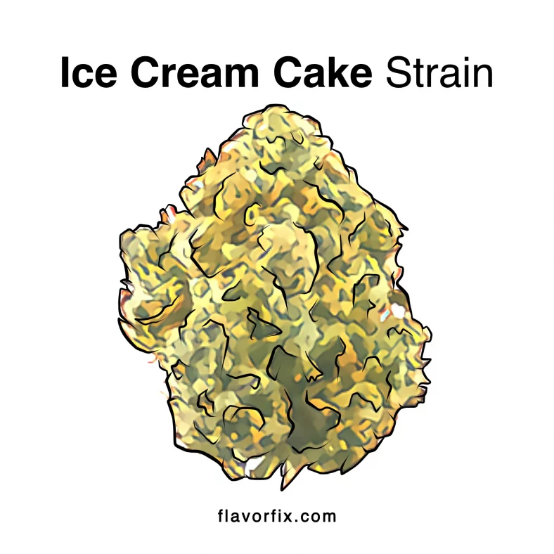 Ice Cream Cake Strain