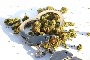 Blacks Arrested 7x more than Whites in NYC for Marijuana from 2018 – 2022, NYPD Marijuana Arrest Data shows