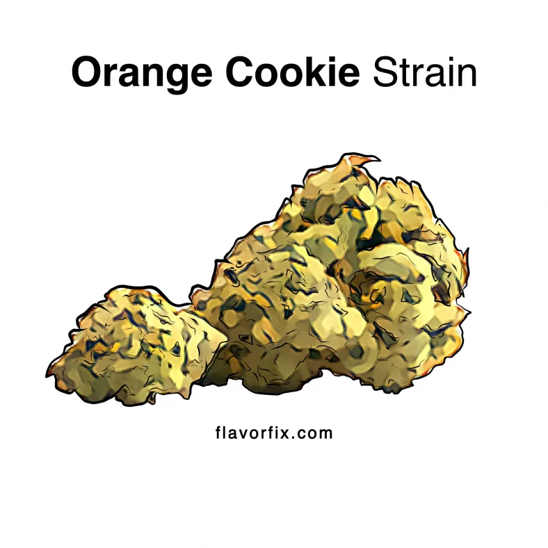 Orange Cookie Strain