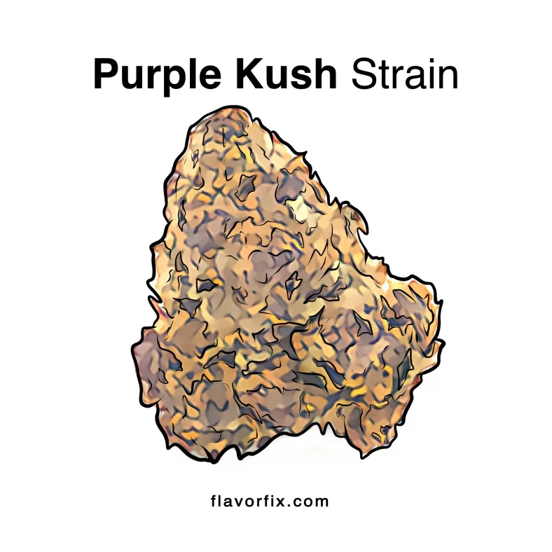 Purple Kush Strain