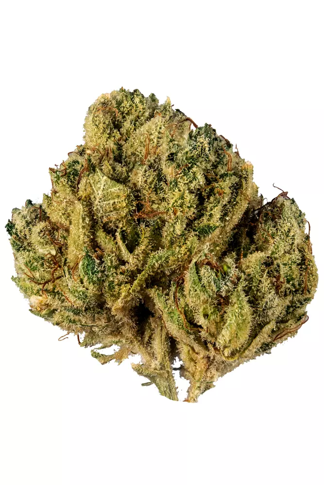 Alien Cookies Strain | Cannabis Strains Info | Flavor Fix