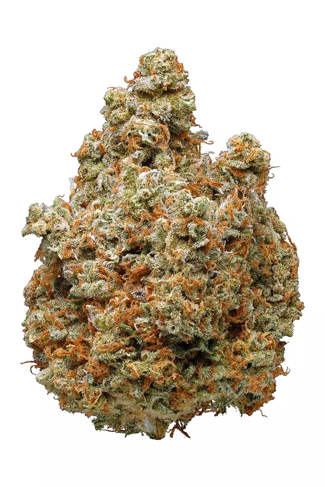 Lemon Kush Strain Cannabis Strains Info Flavor Fix