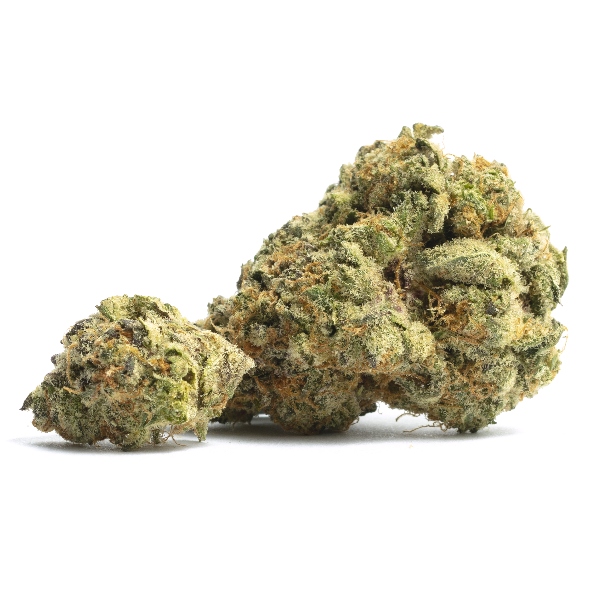 Bacio Bx Strain - lifz4i4