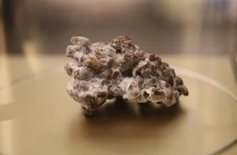 Magic Truffles