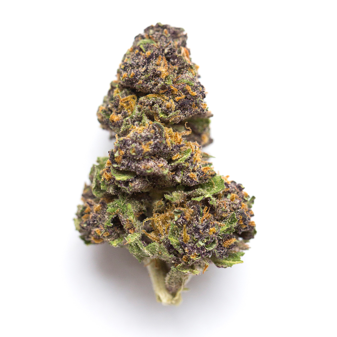 Scooby Snacks Strain Cannabis Strains Flavor Fix