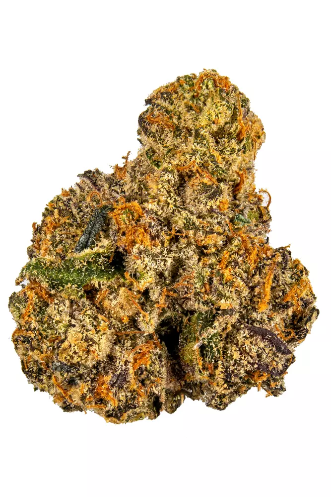 Sherbacio Strain Info Cannabis Strains Flavor Fix