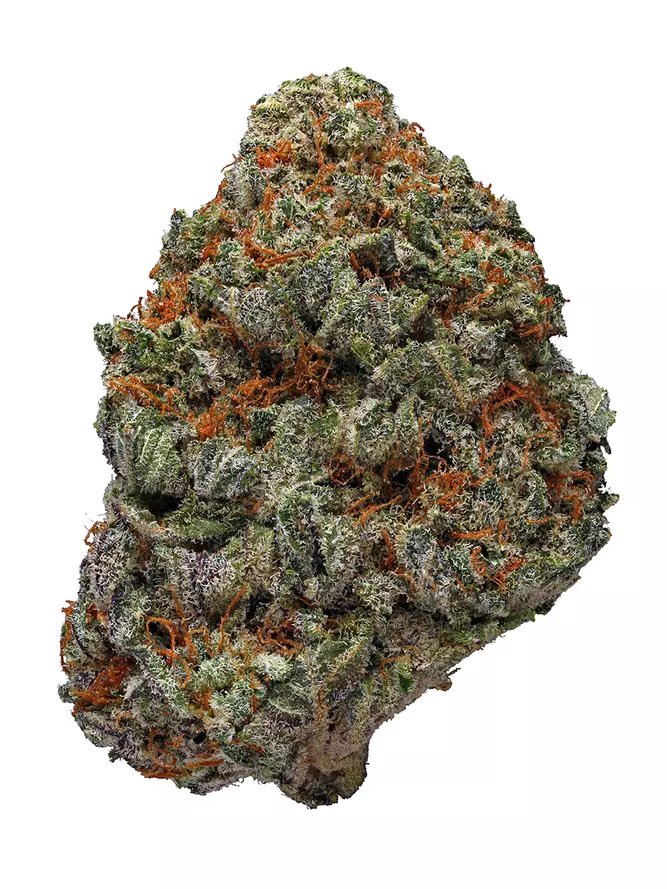 Blackberry Strain Info Cannabis Strains Flavor Fix