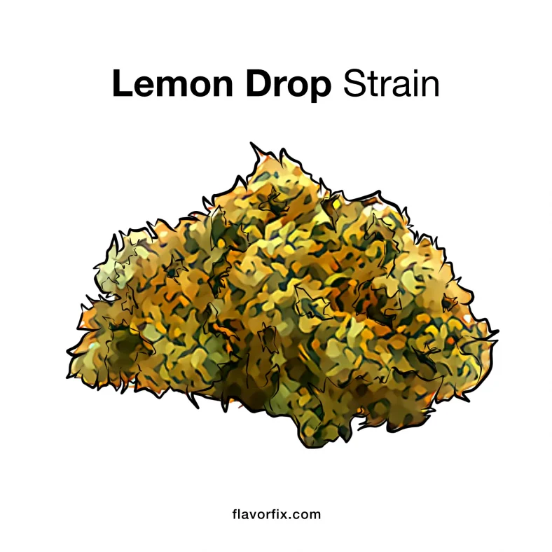 Lemon drop strain