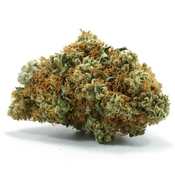 Lemon Drop Strain — Better Than Its Namesake Beverage - Flavor Fix