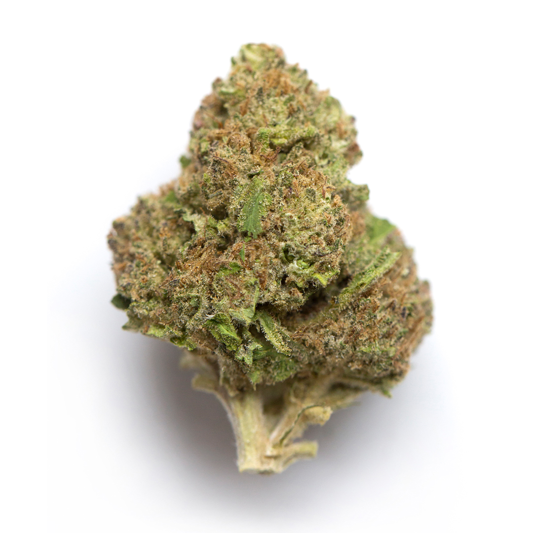 Mint Chocolate Chip Strain Cannabis Strains Flavor Fix