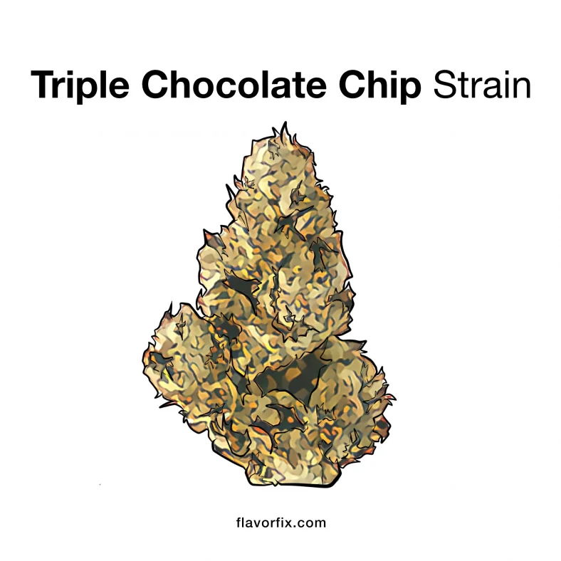 triple chocolate chip strain