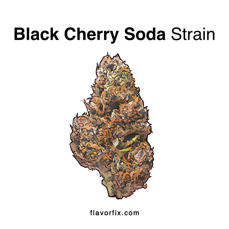 Black Cherry Soda Strain