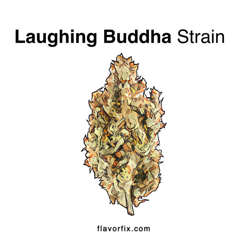 Laughing Buddha Strain