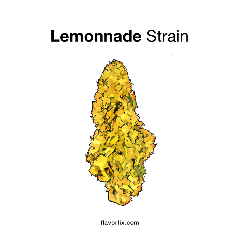 Lemonnade Strain