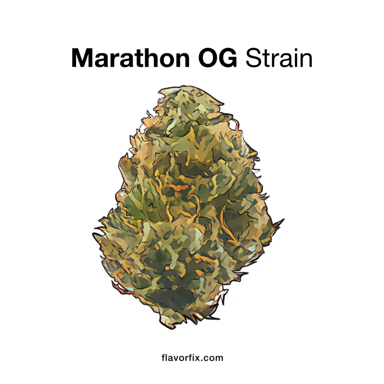 Marathon OG Strain