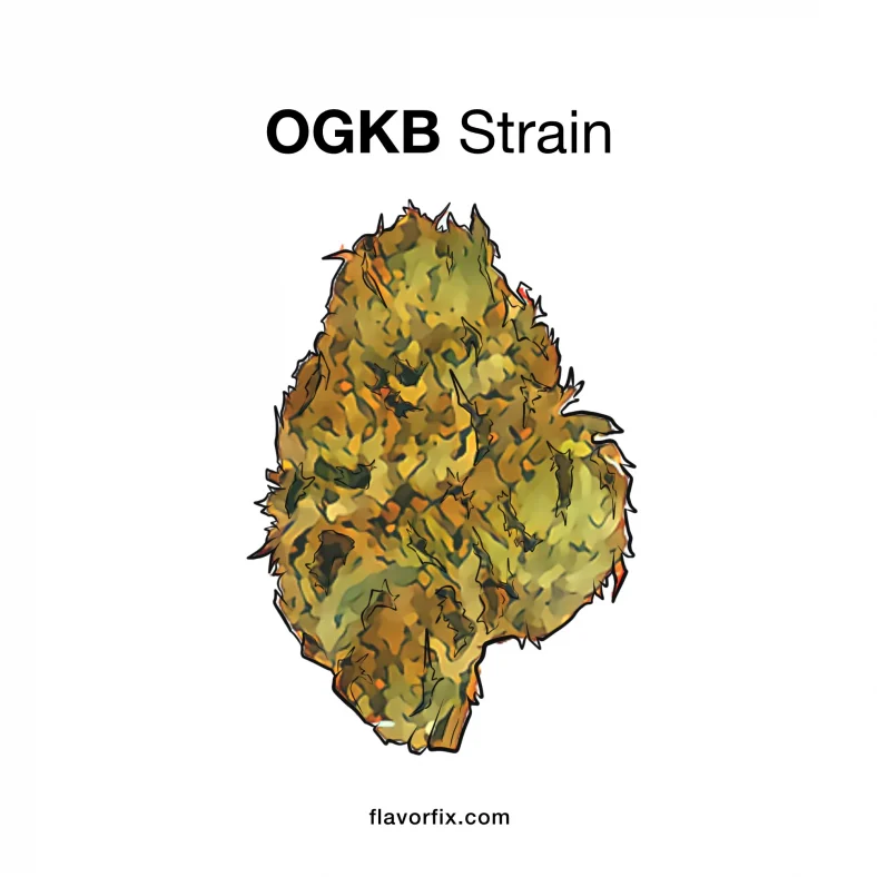 OGKB strain