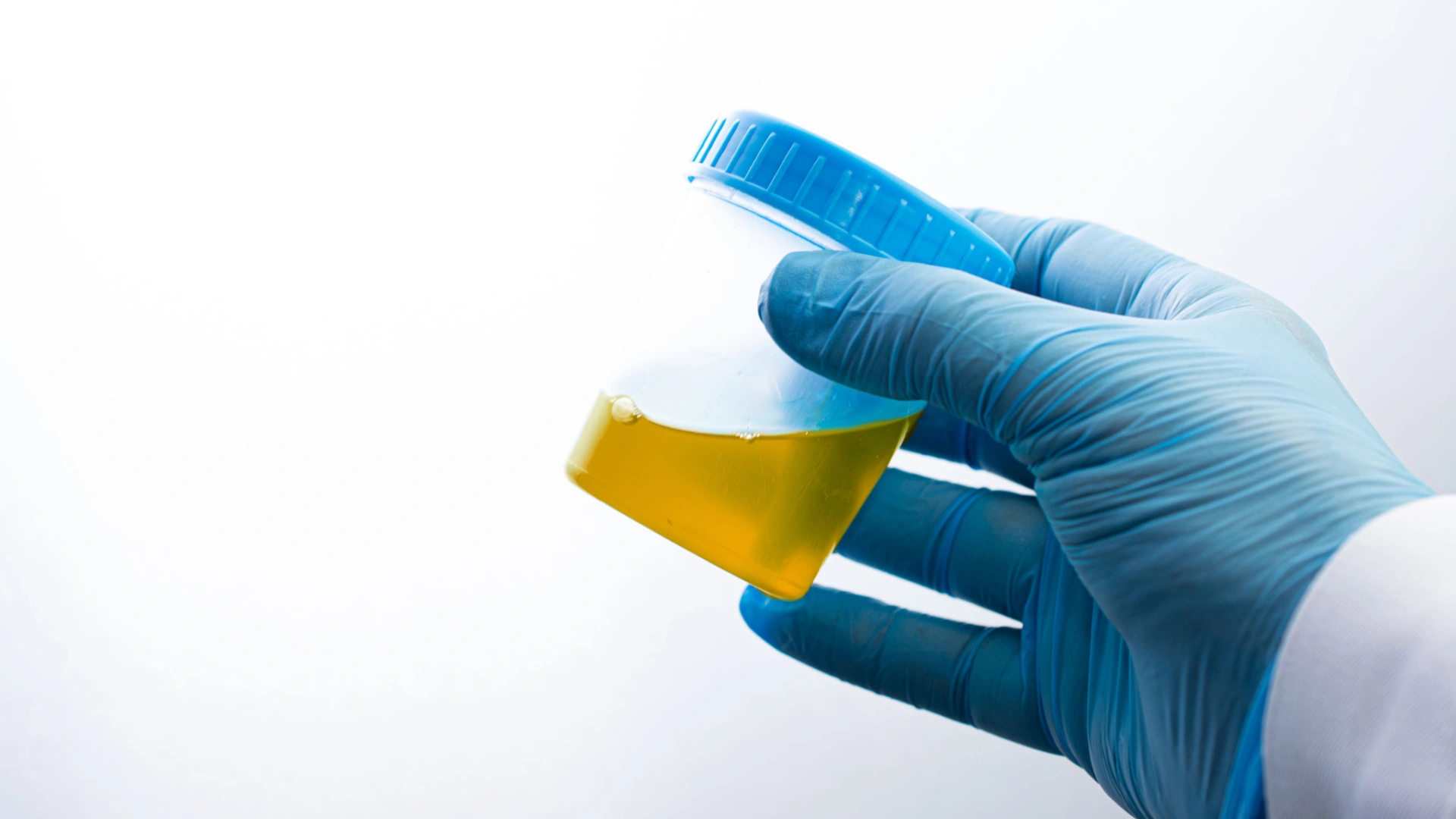 Using Synthetic Urine to Pass a Drug Test - Flavor Fix