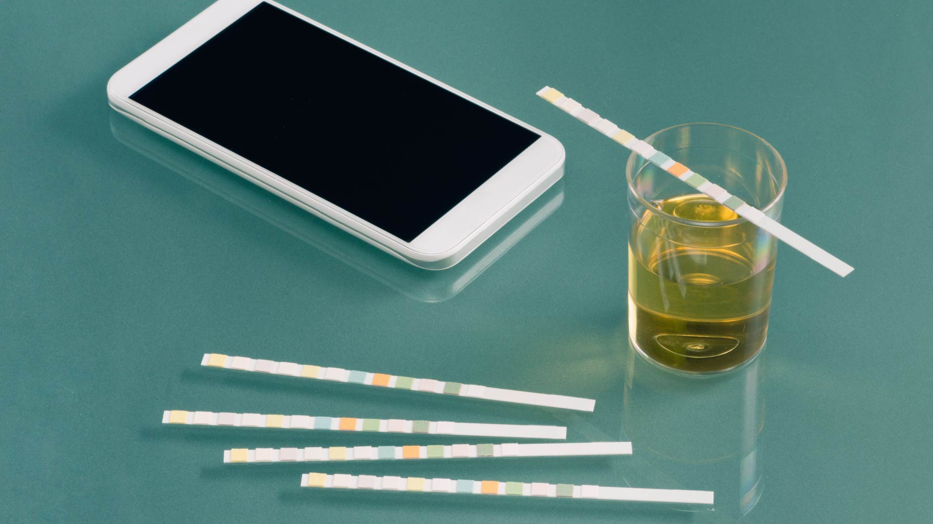 At Home Drug Test Free Home Drug Test Guide Flavor Fix