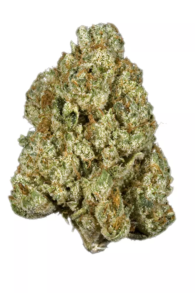 Pink Champagne Strain | Cannabis Strains | Flavor Fix