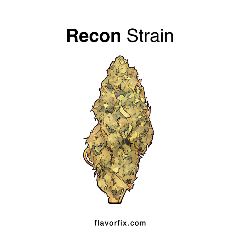 Recon Strain