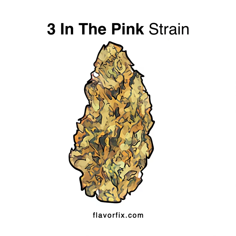 3 In The Pink Strain