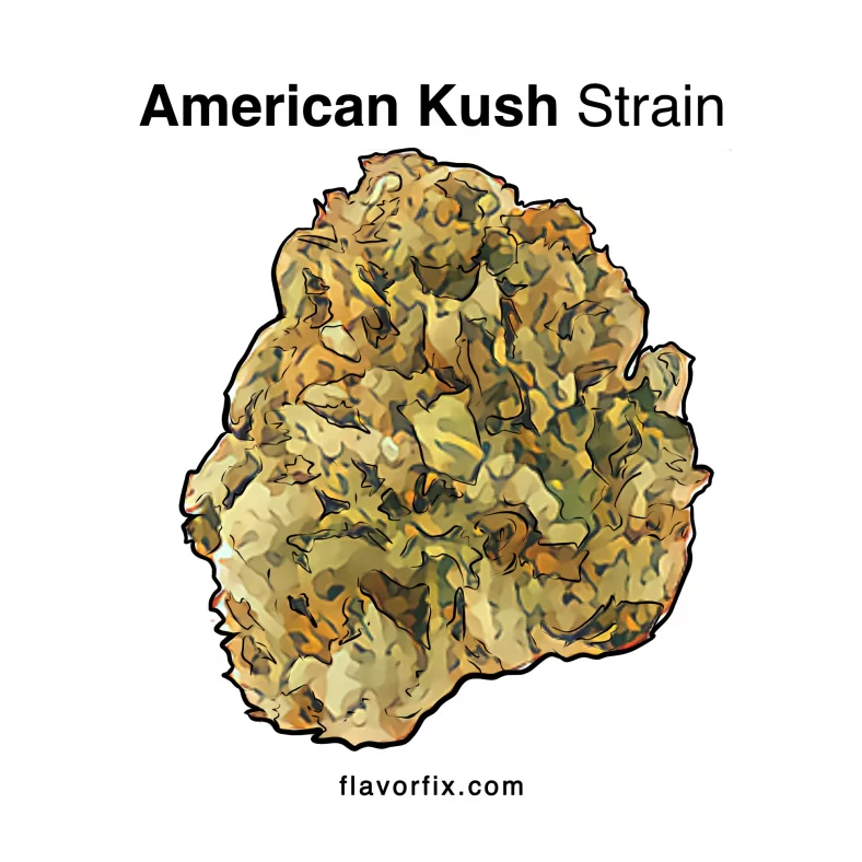 American Kush Strain