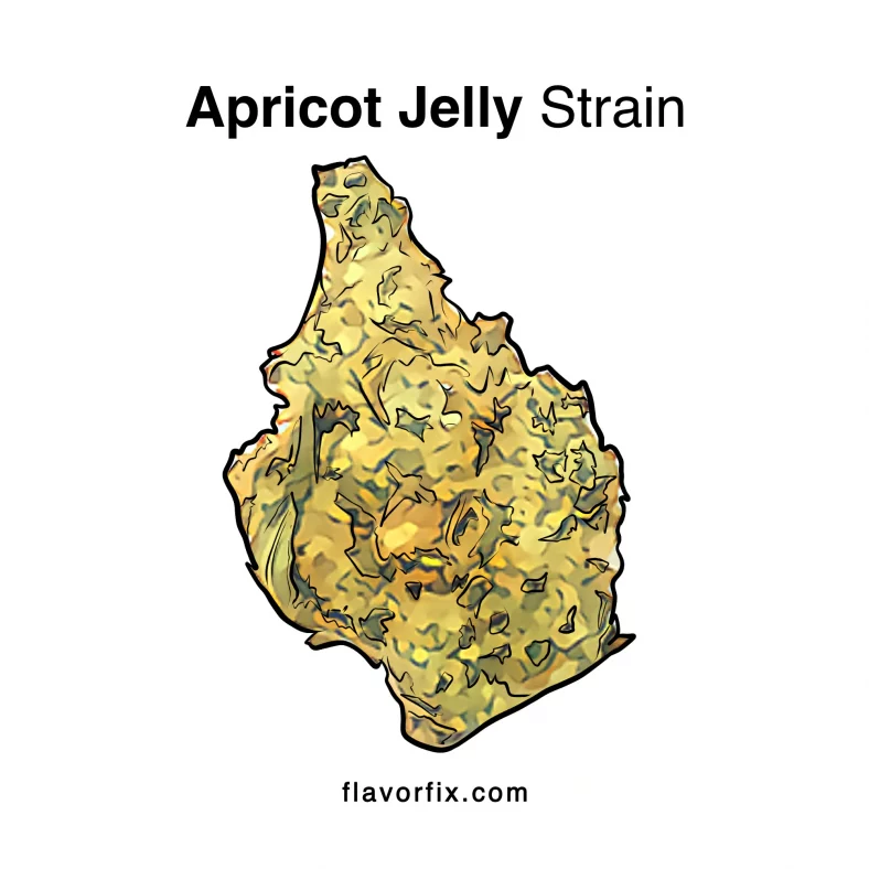 Apricot Jelly Strain