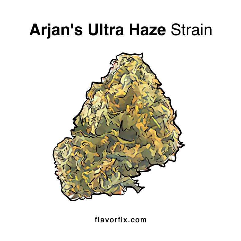 Arjan's Ultra Haze Strain