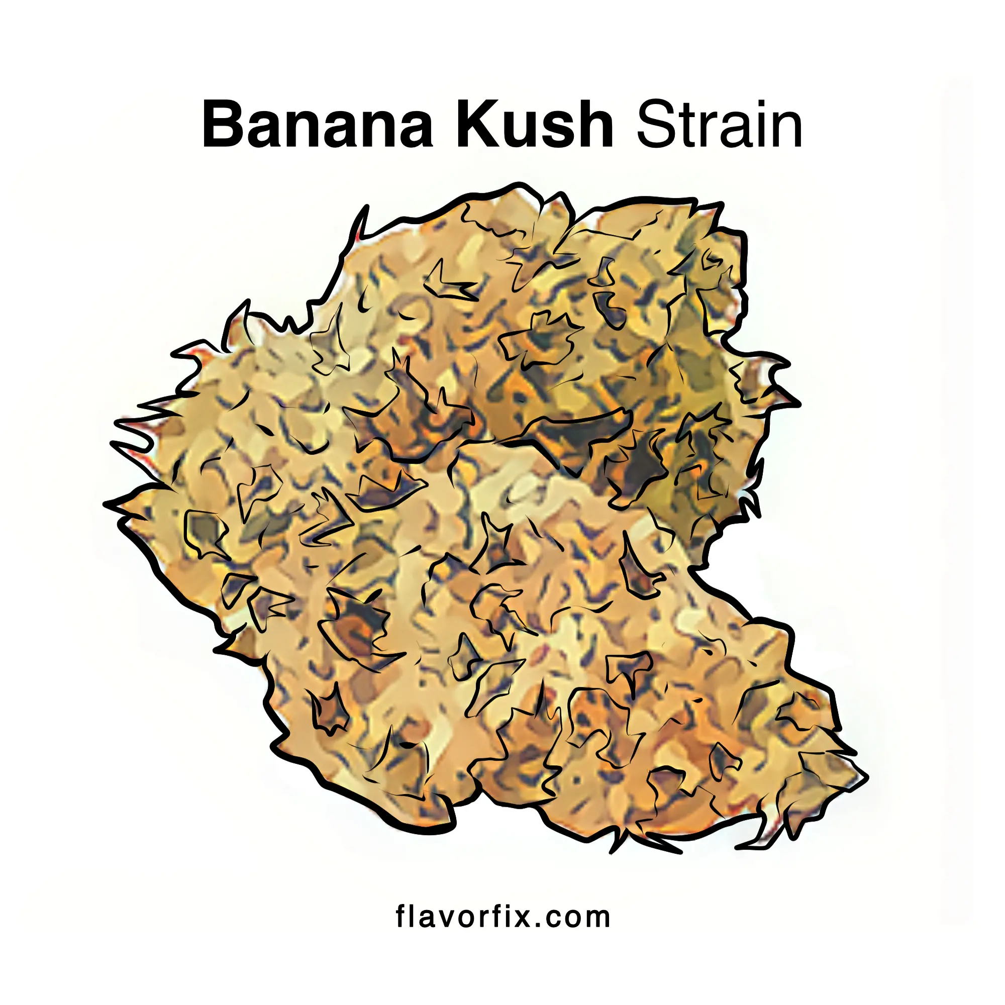 Banana Kush OG | Strain Information & Facts | Flavor Fix