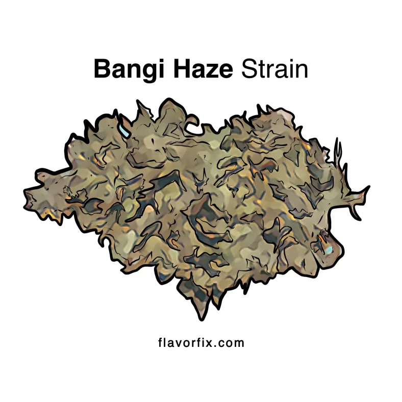 Bangi Haze Strain