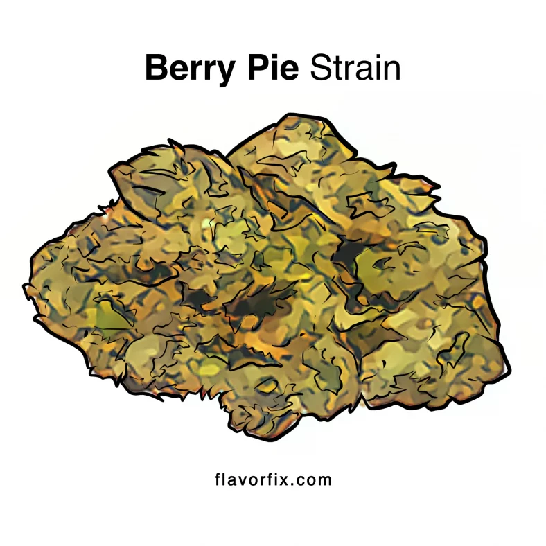 Berry Pie Strain