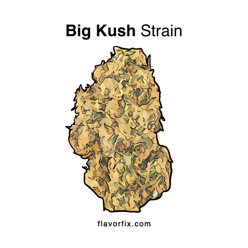 Big Kush Strain