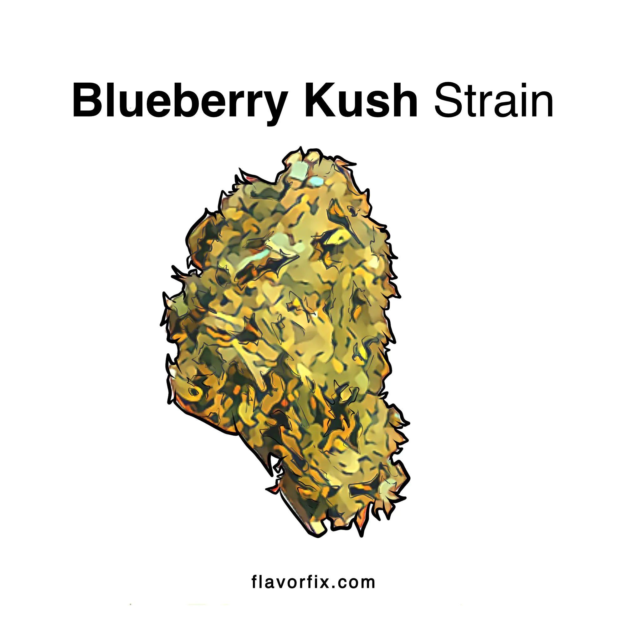Blueberry Kush Strain Info Cannabis Strains Flavor Fix