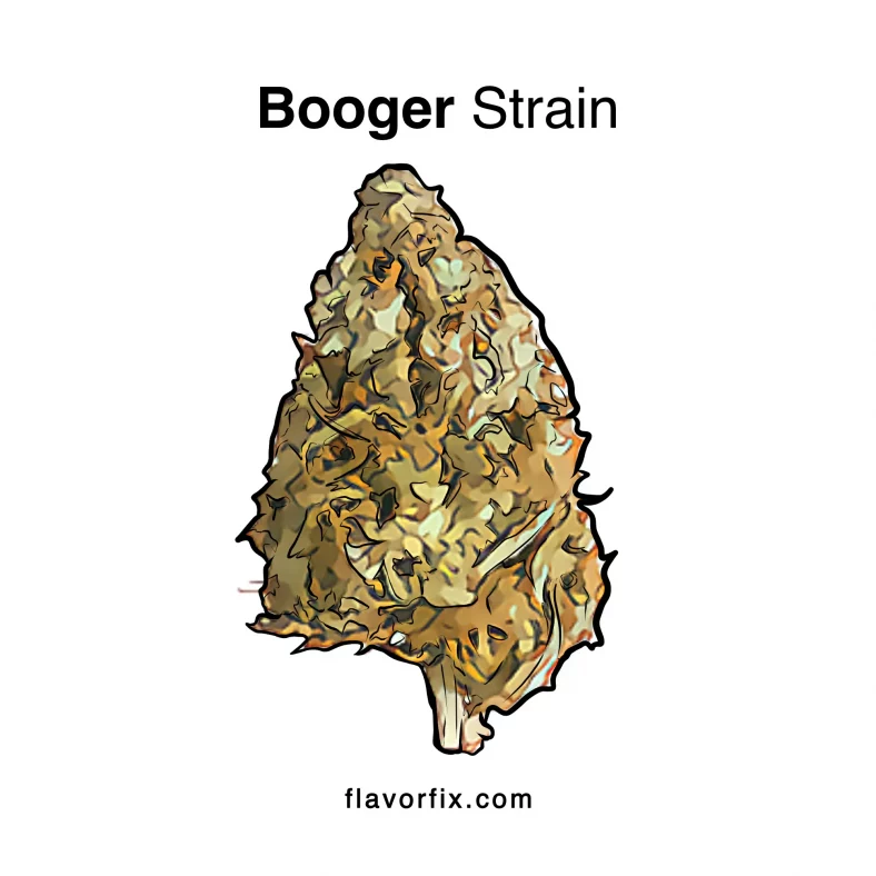 Booger Strain
