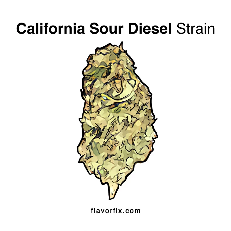 California Sour Diesel Strain