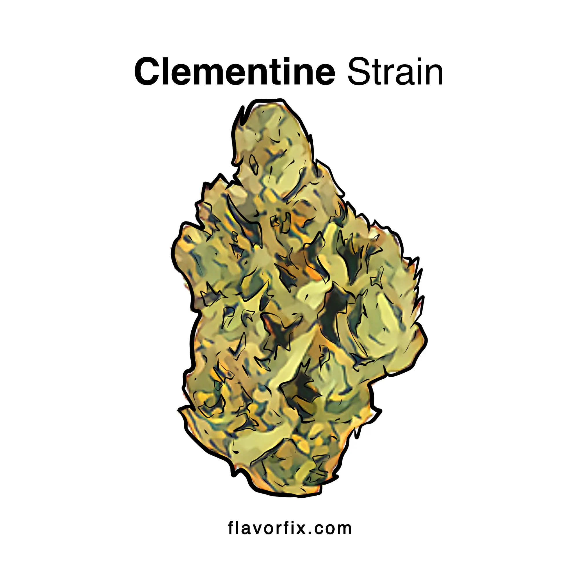 Clementine Strain Cannabis Strain Information Flavor Fix