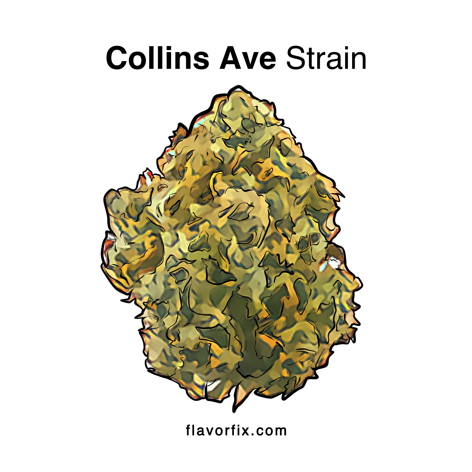 Collins Ave Strain