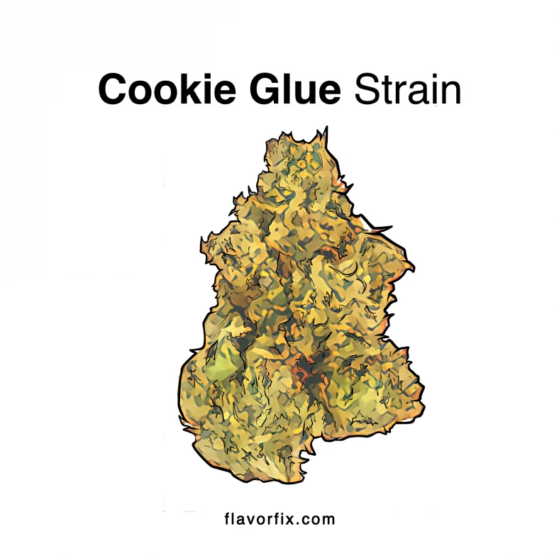 cookie glue strain