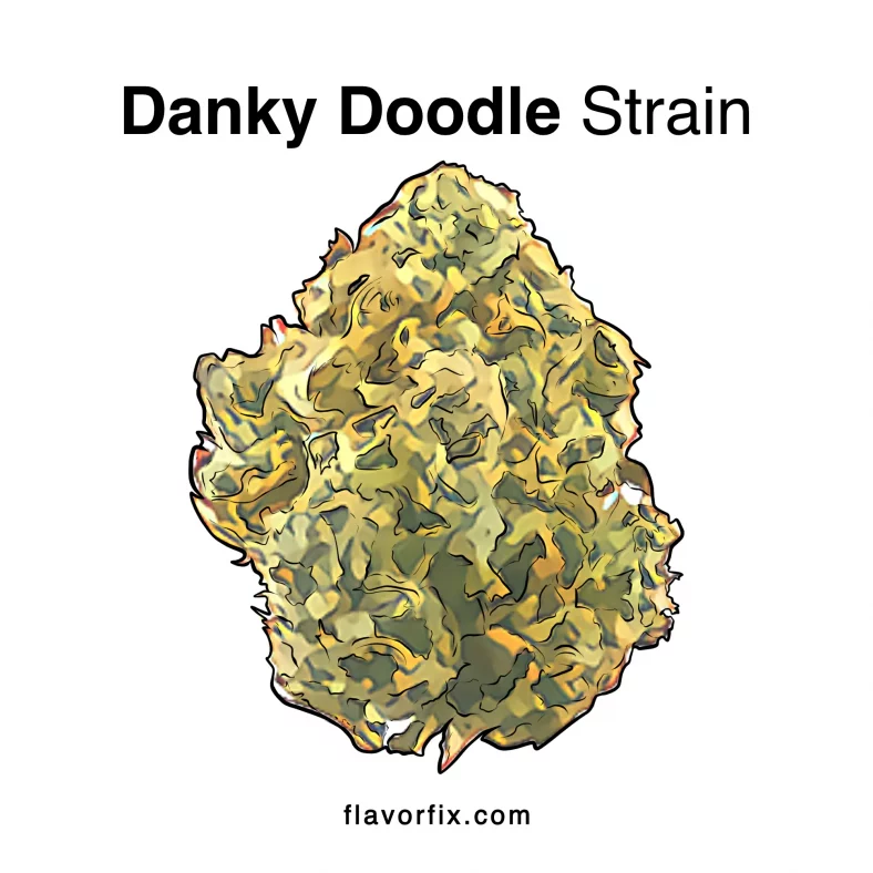 Danky Doodle Strain