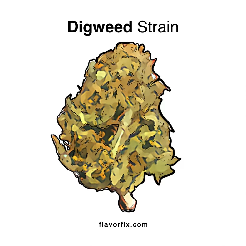 Digweed Strain