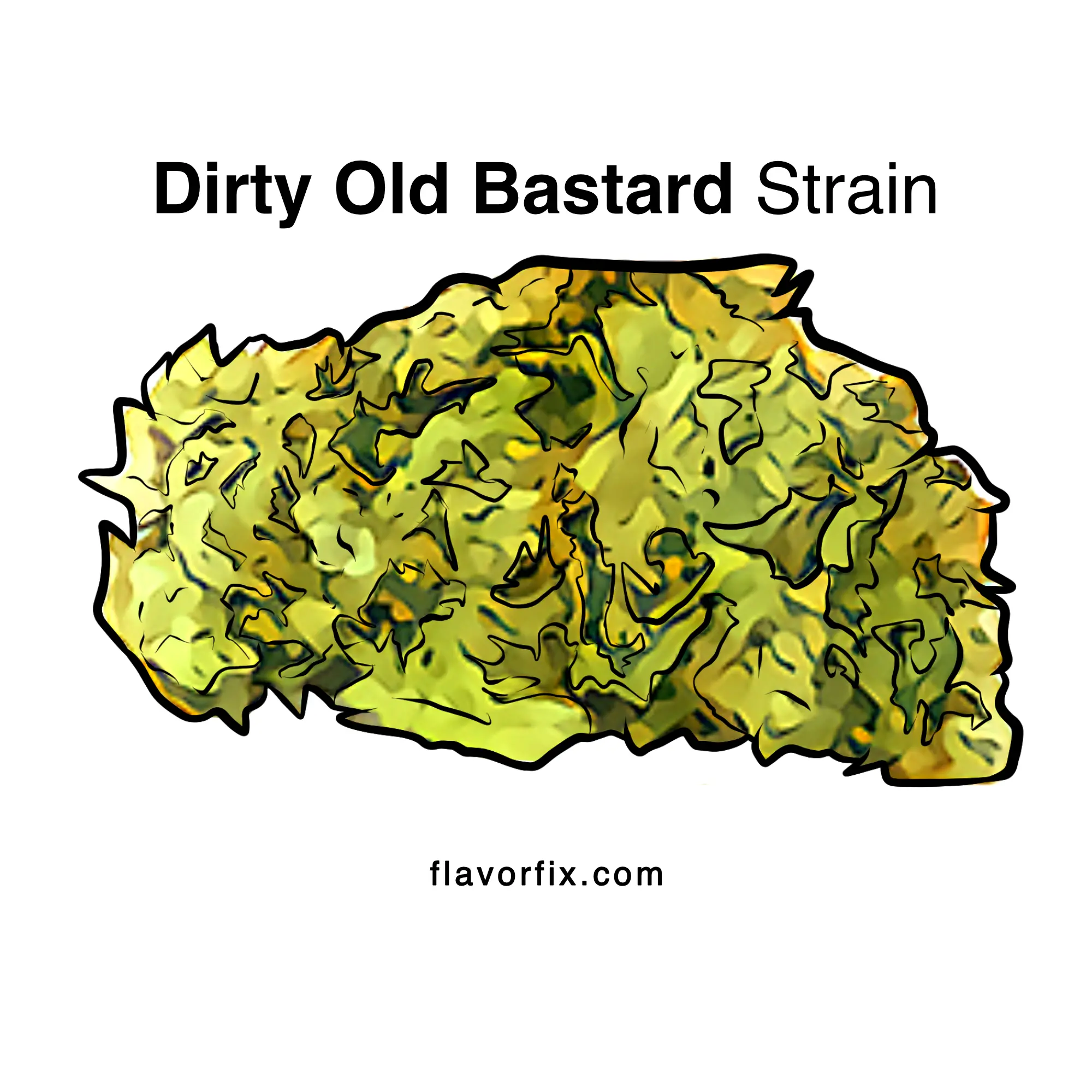 Dirty Old Bastard Strain | Cannabis Strains | Flavor Fix