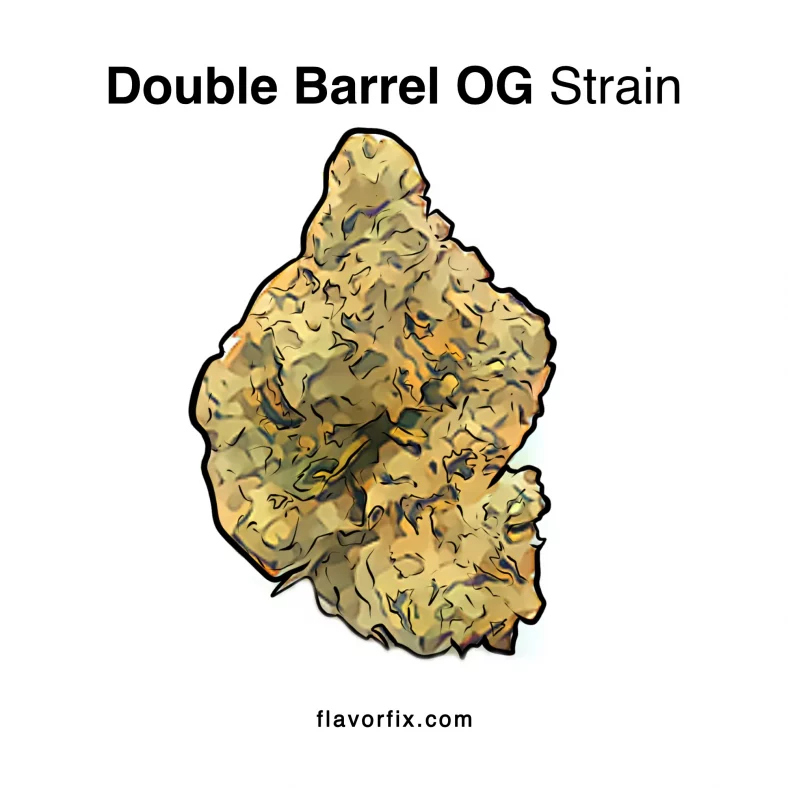 Double Barrel OG Strain