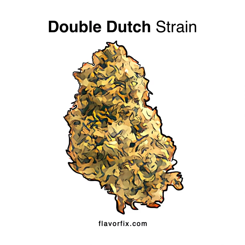 Double Dutch Strain